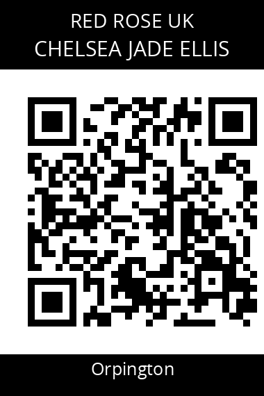 QR code for Chelsea Jade Ellis